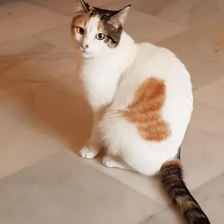 La Casita Del Corazon Frühstückspension