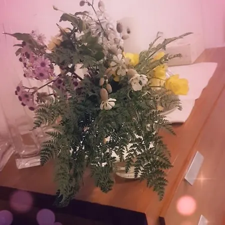 La Casita Del Corazon