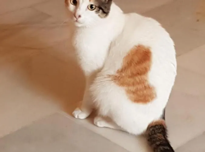 La Casita Del Corazon B&B